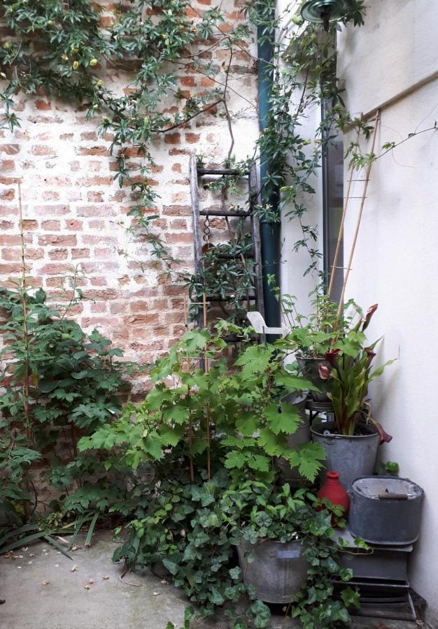 Le Nichoir Aux Oiseaux Apartment *