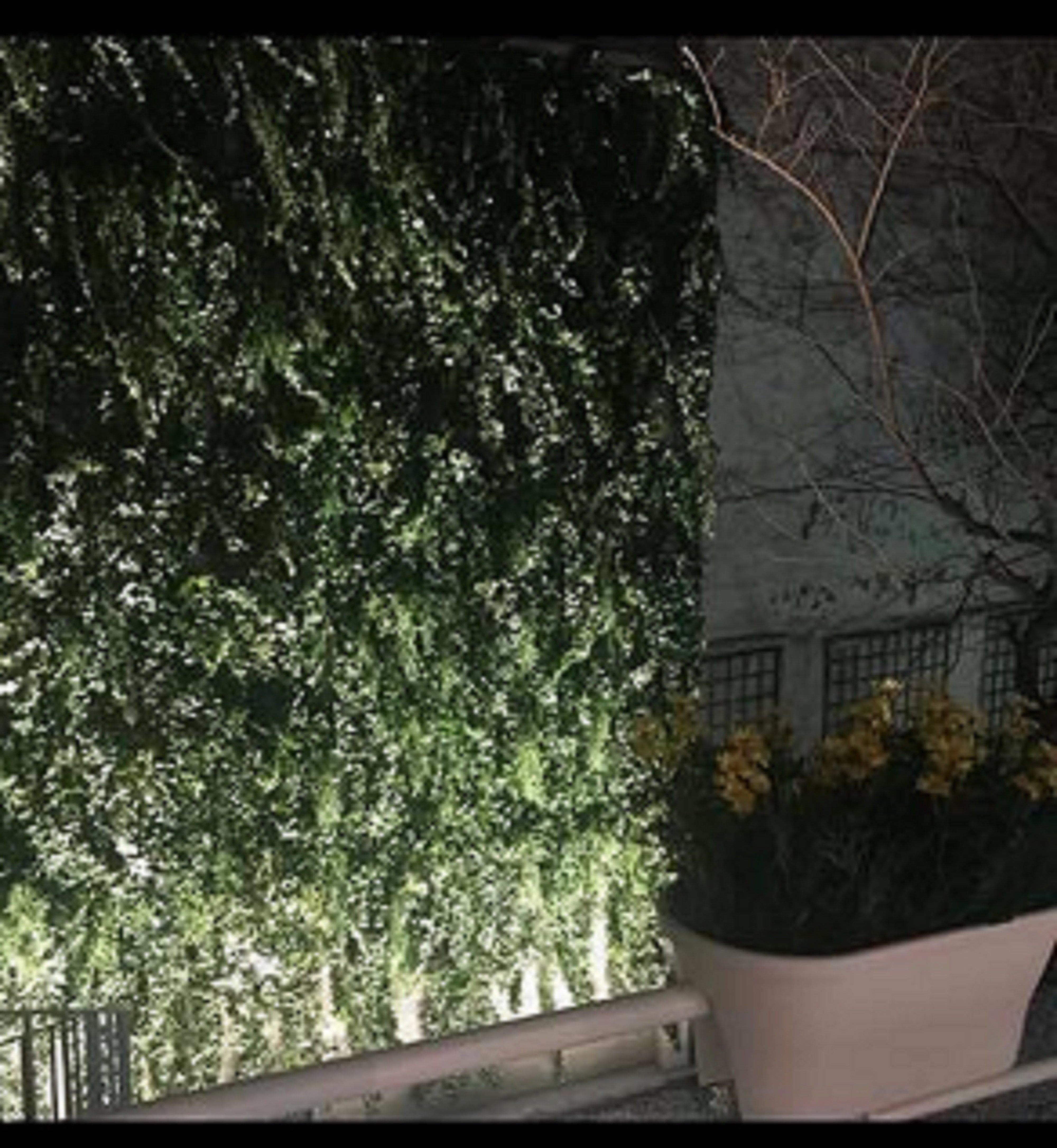 Montmartre By Ihg 4* Paris