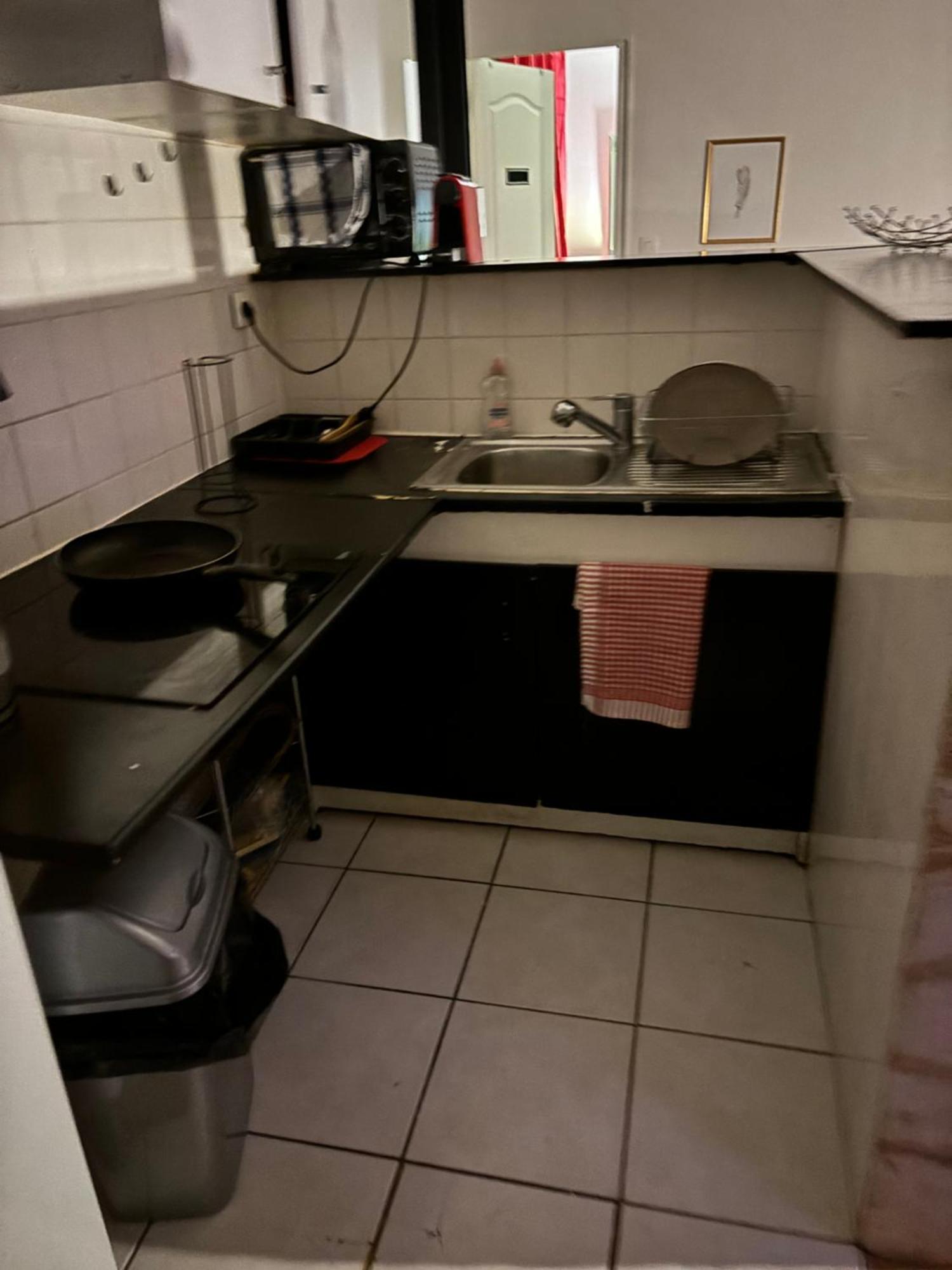 Agreable Appartementbuttes-chaumont Apartment *