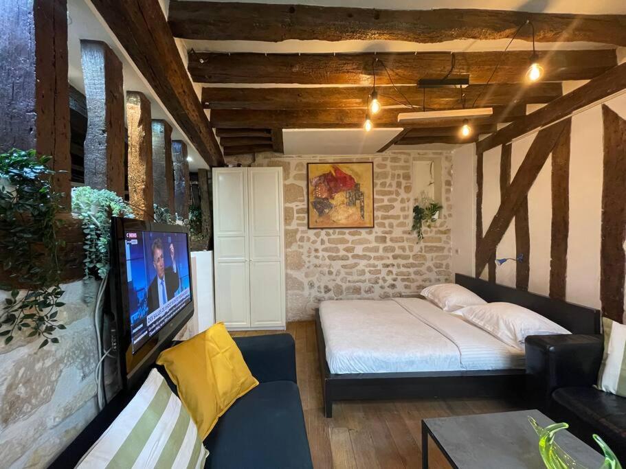 Charming Rue St Andre Des Arts Appartement *