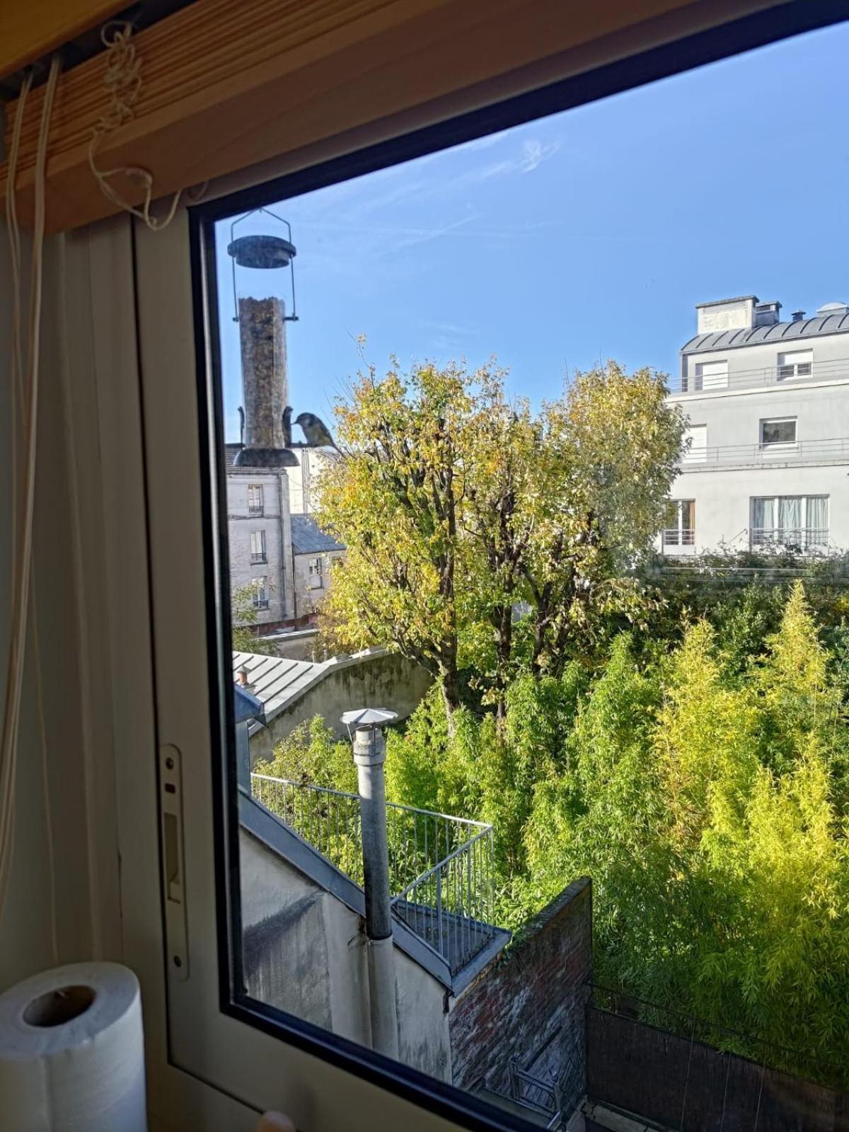 Artiste & Cosy Appartement *