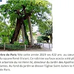 Lovely Studio Notre Dame