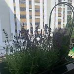 Un Appartement Cozy Au Coeur De Paris