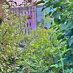 B&B Hotel Paris Porte Des Lilas