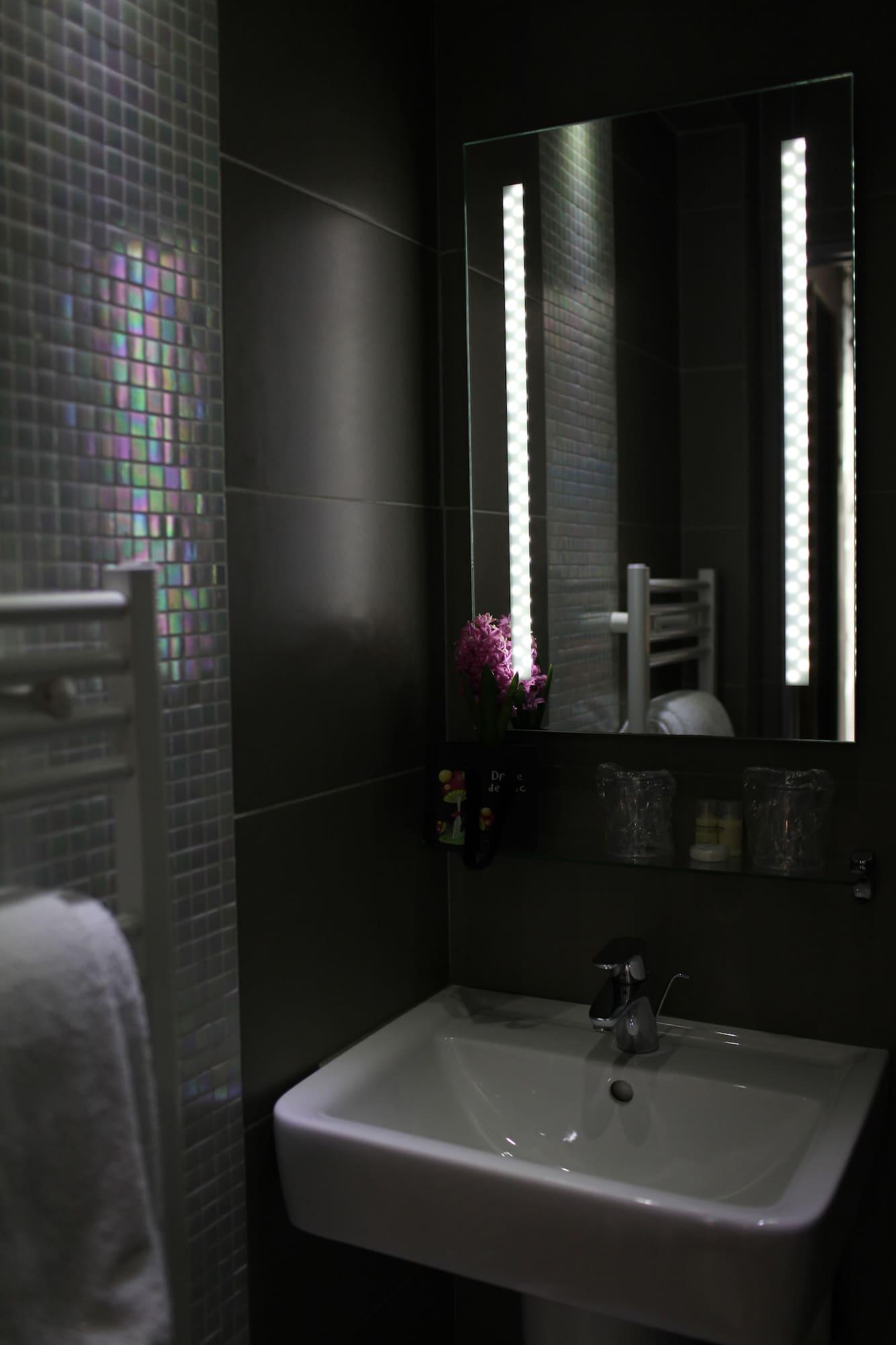 Alane Hotel Paris