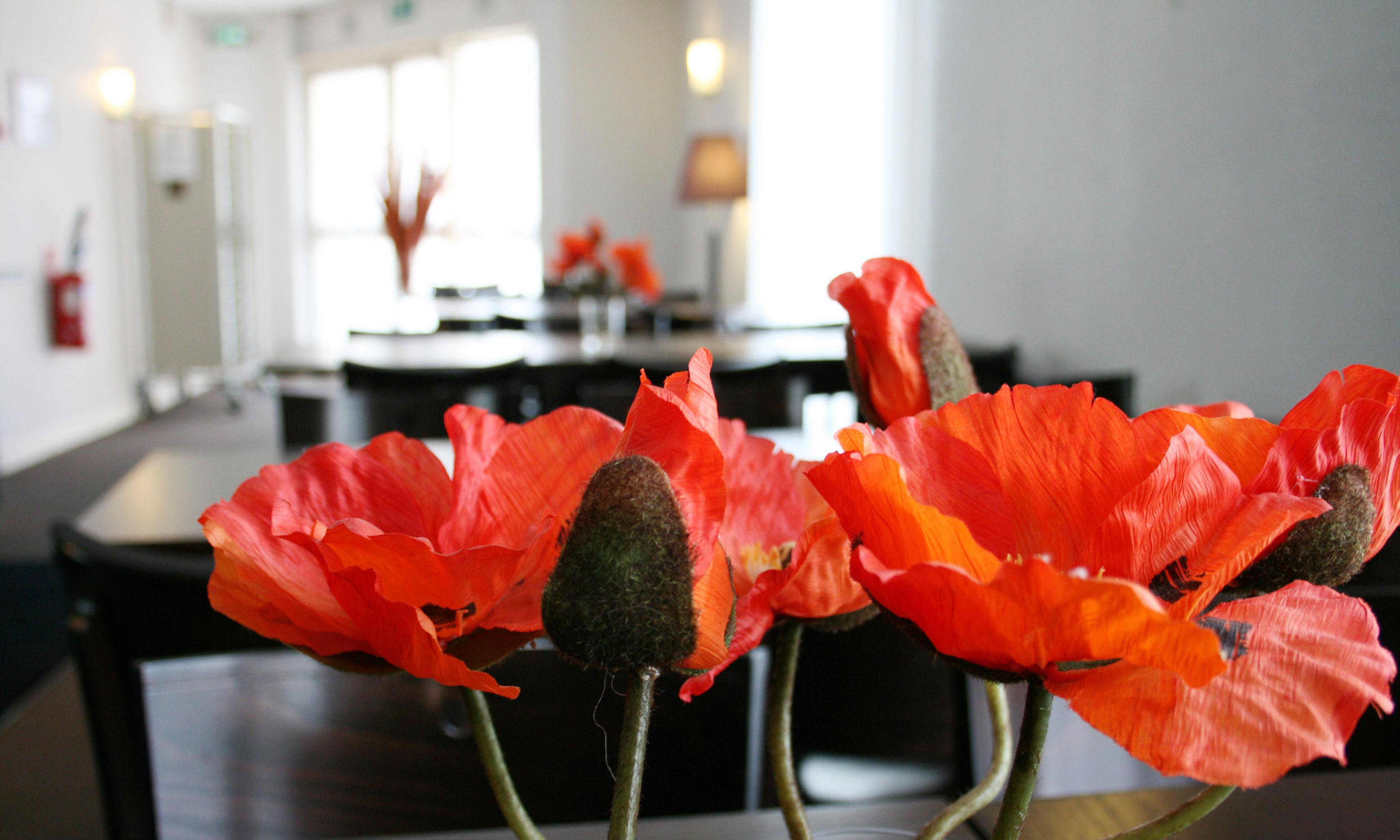 Ibis Nation Davout Hotel Paris