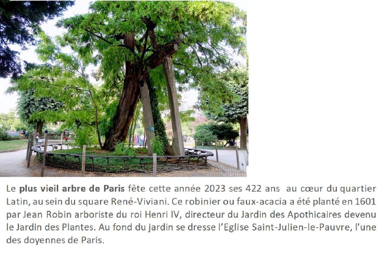 Lovely Studio Notre Dame Paris