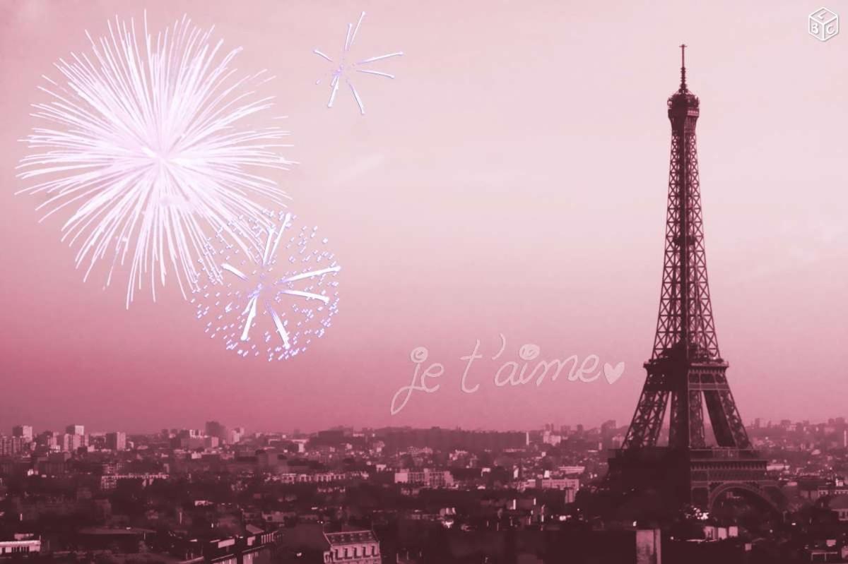 Lovely Studio Notre Dame *