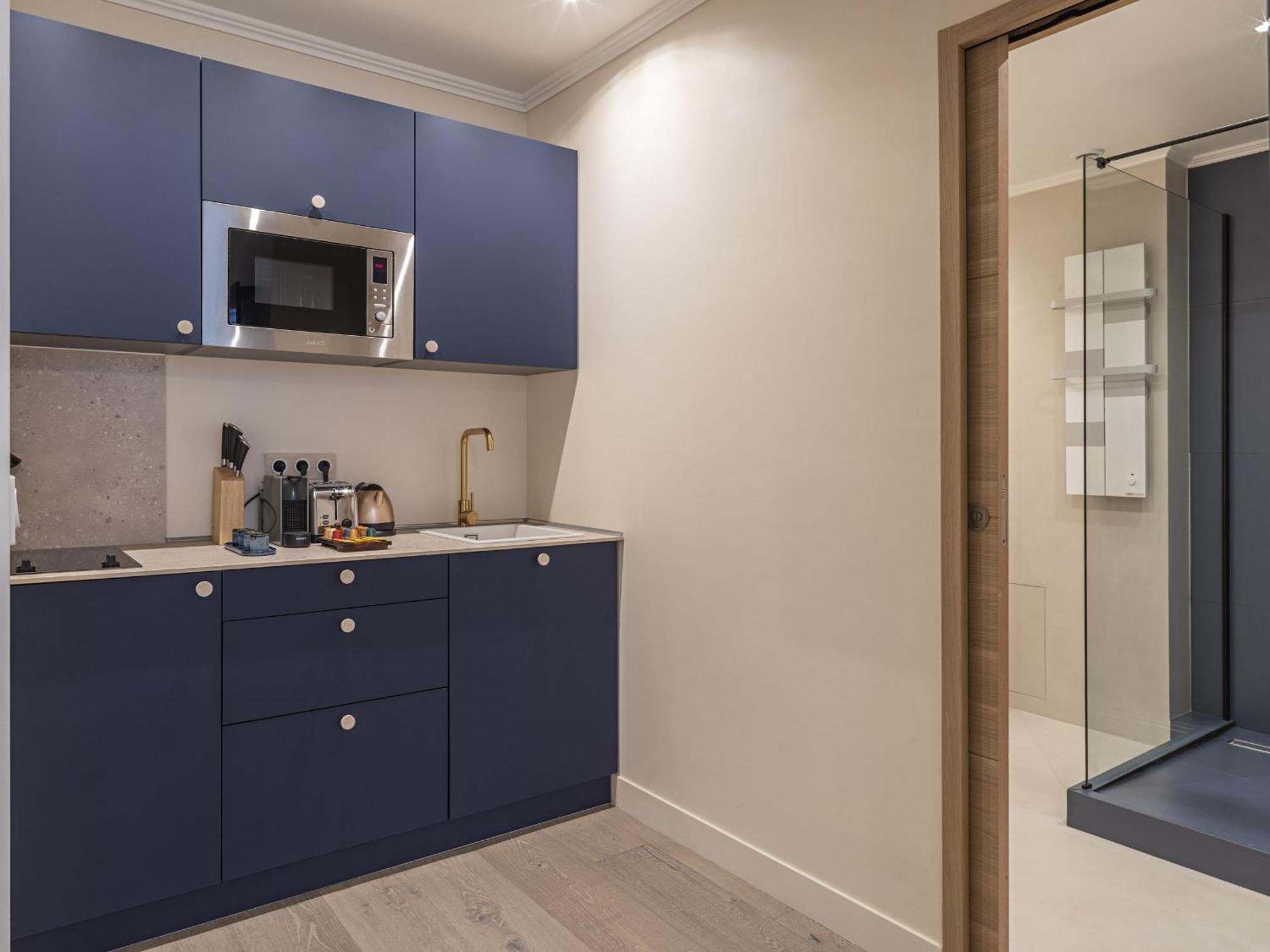 The Blue On Champs Elysees Avenue Appartement Paris