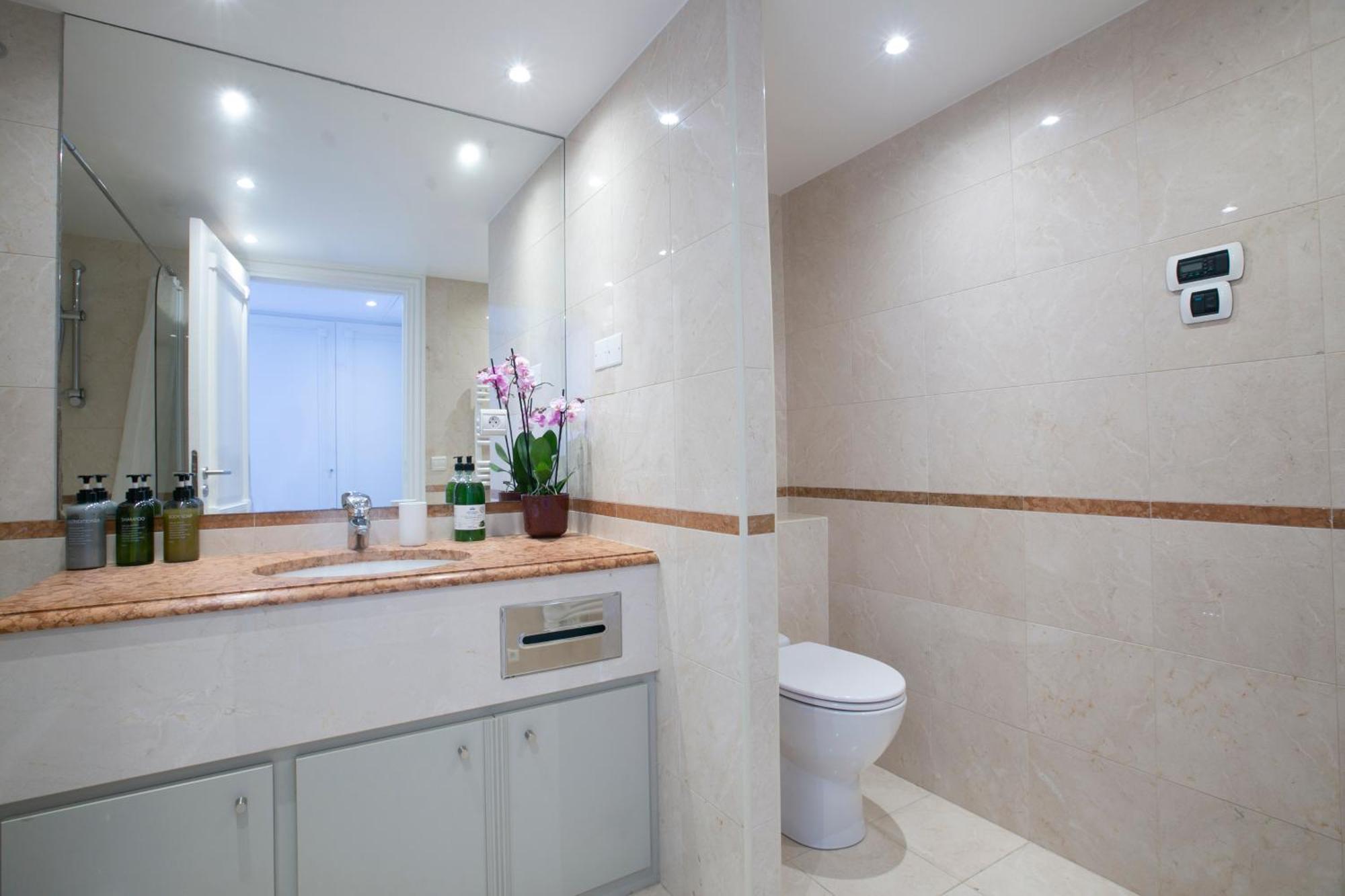 Magnificient 2 Bedrooms With Terrace Next To Champs-elysees - Pc62b Appartement Paris