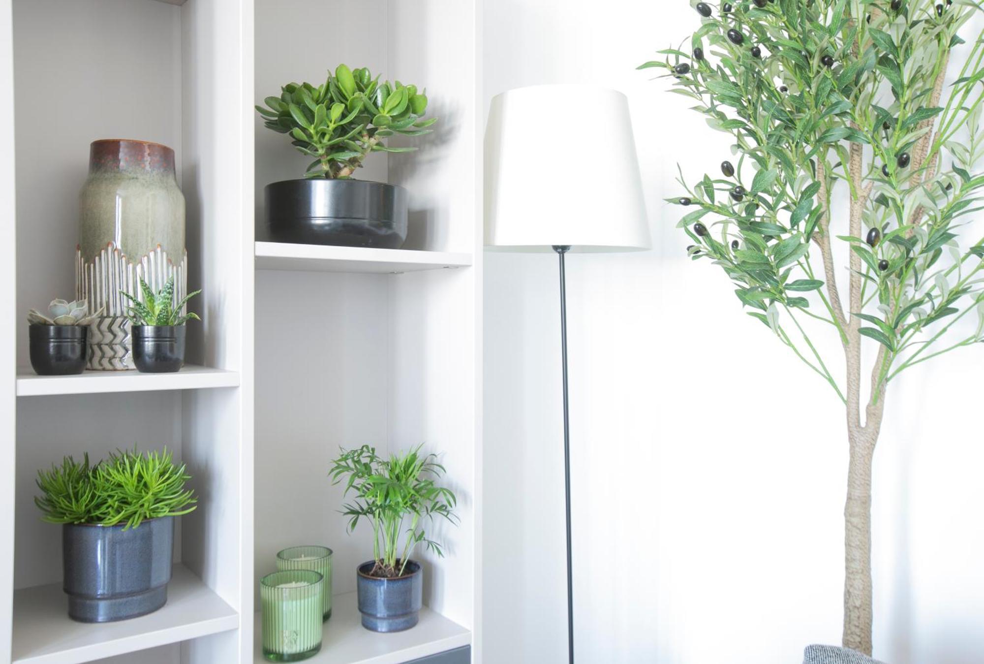 Magnificient 2 Bedrooms With Terrace Next To Champs-elysees - Pc62b Appartement Paris