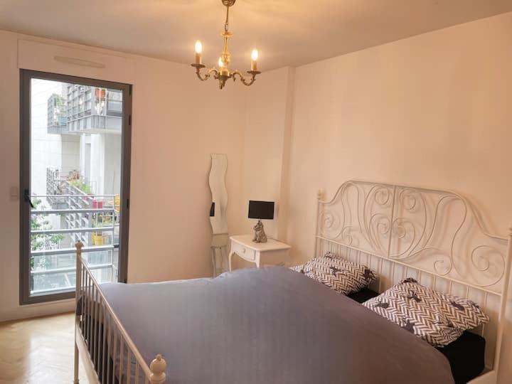 Beautiful And Large Montparnasse Apartment