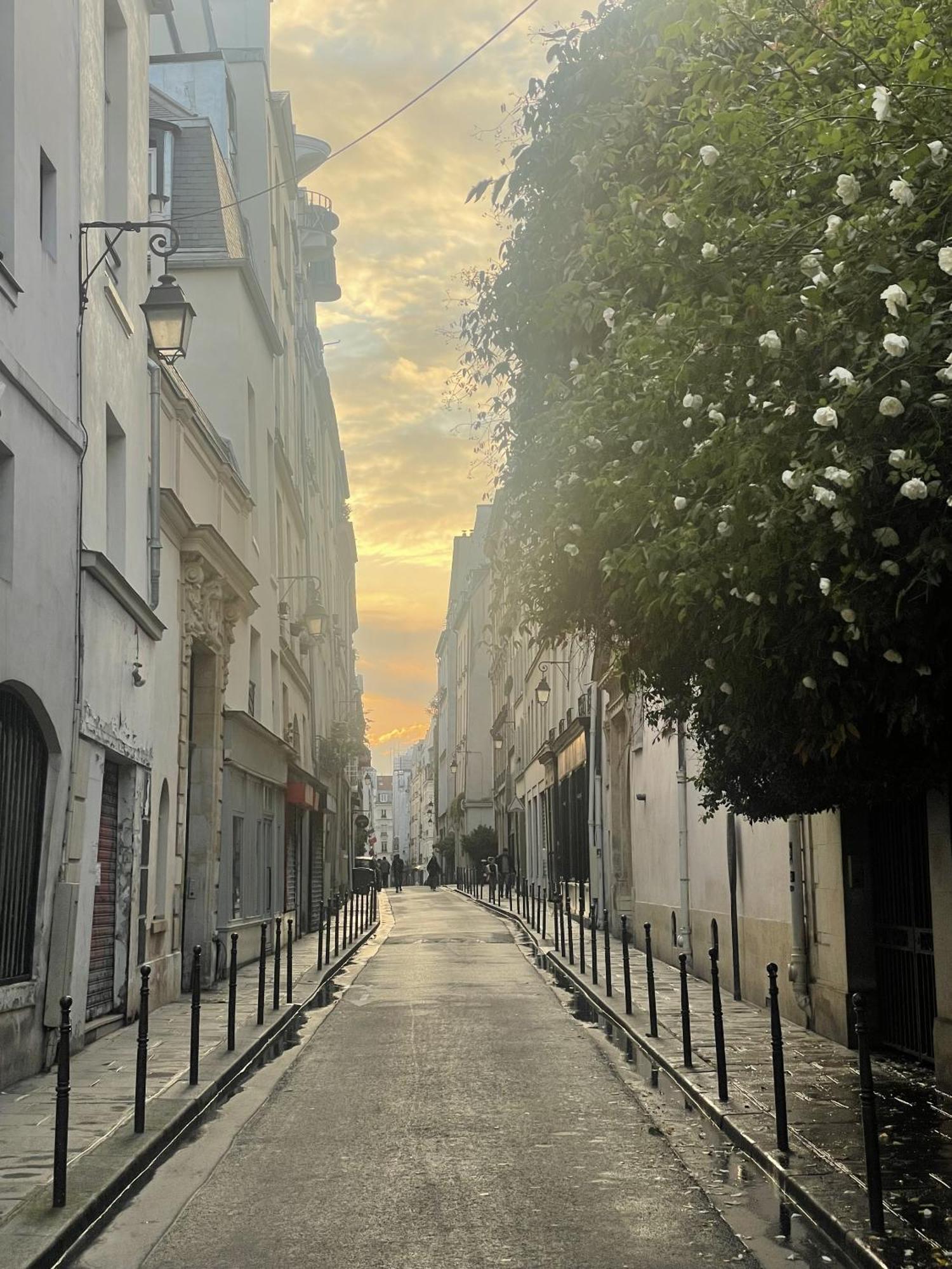 Apartment De L'atelier 3