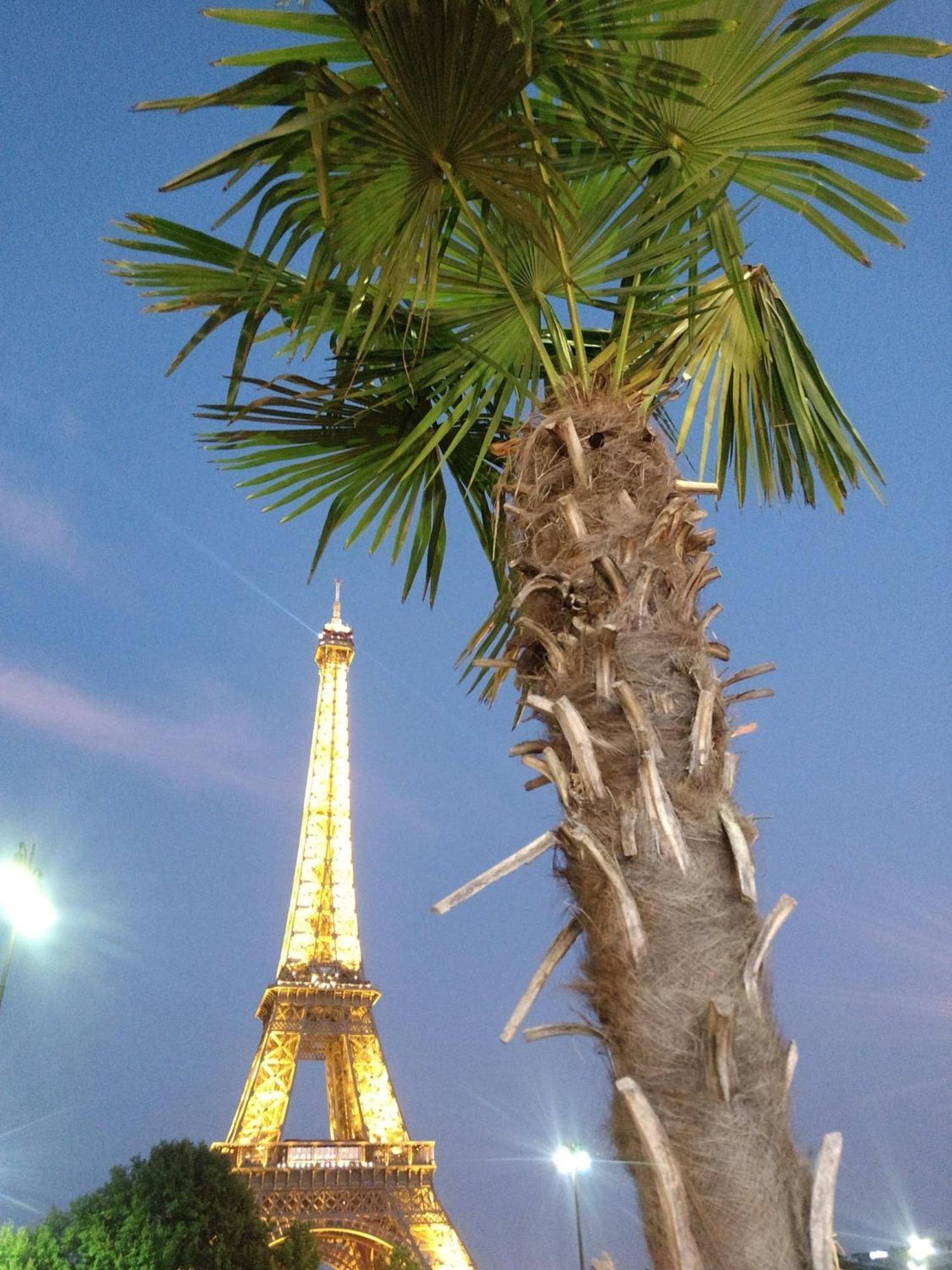 In Eiffel Tower & Champs Elysees Ferienhaus