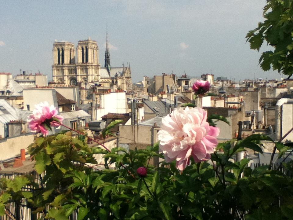 Apartment Notre Dame Flat Paris