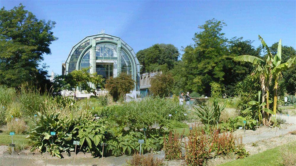 Hotel Du Jardin Des Plantes