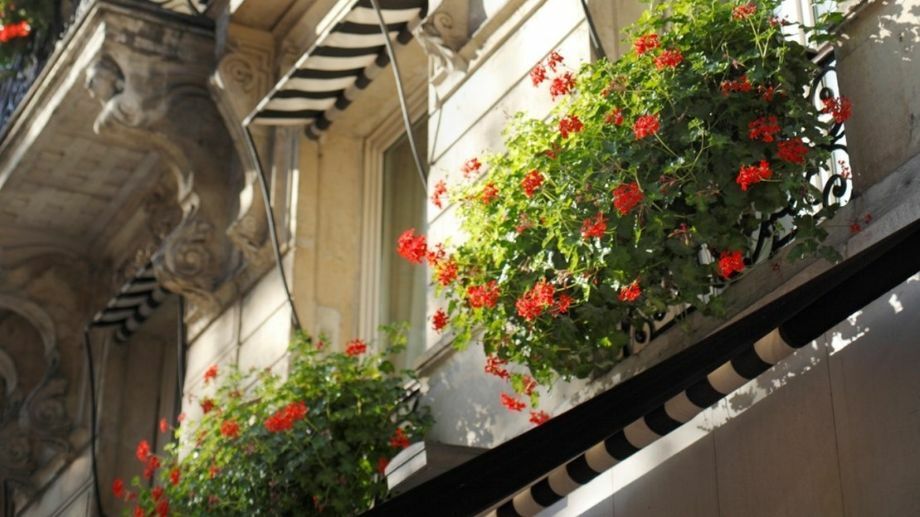 Elysees Regencia Hotel