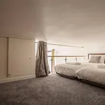 Remodeled Parisian Apartment