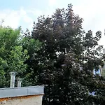A Cosy Little Nest In The 5Th Arrondissement