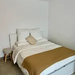 Newly Refurbished Modern Studio