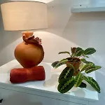 Maison Terra