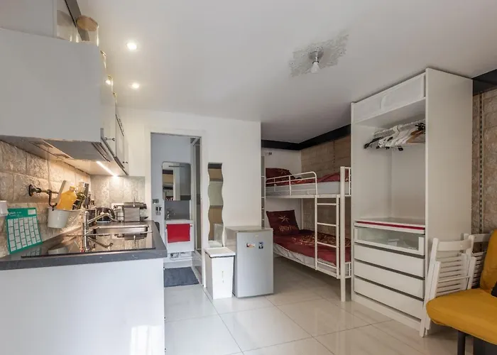 Studio A Paris Et Desinfection Rigoureux Du Logis