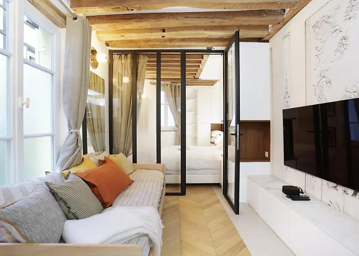 Superb apartment Place des Vosges Le Marais (Charles V)