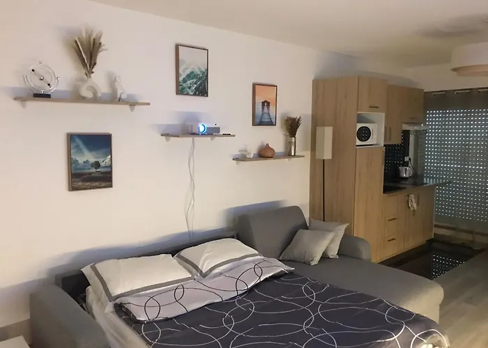 Studio 31M2 Plein Est Avec Balcon Laumiere