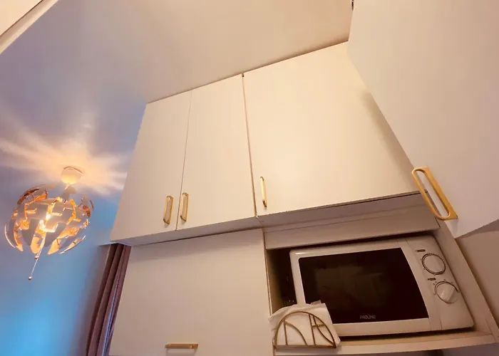 Fully equipped Studio in the heart of Paris - Area champs Elysées