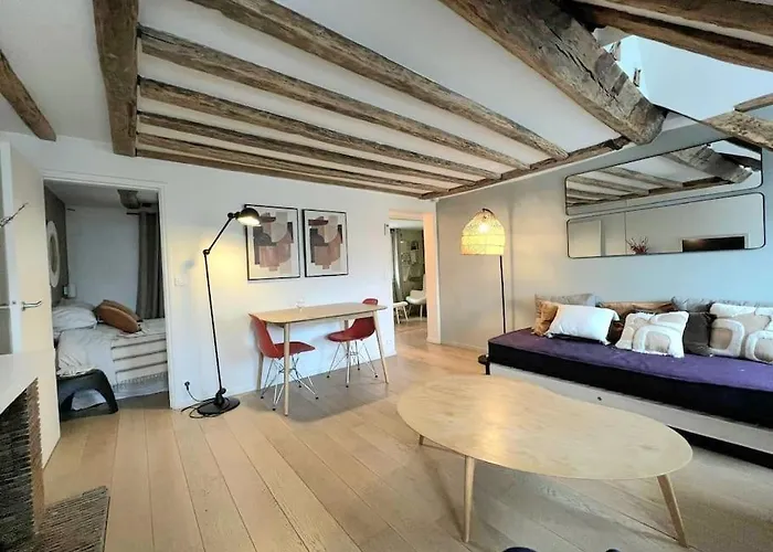 Elegant Loft Place Vendome