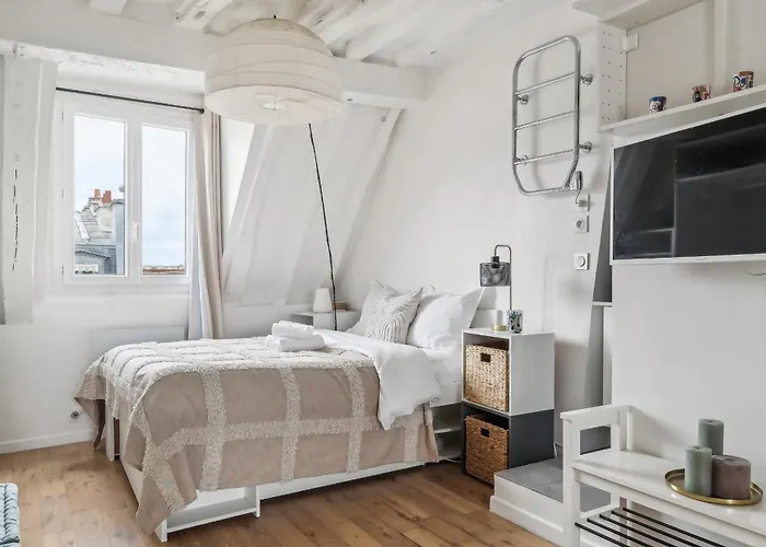 Le Louvre & Notre-Dame - Cityapartmentstay