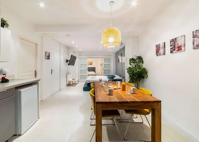 Loft Moderne Face Jardin Des Plantes - 4P