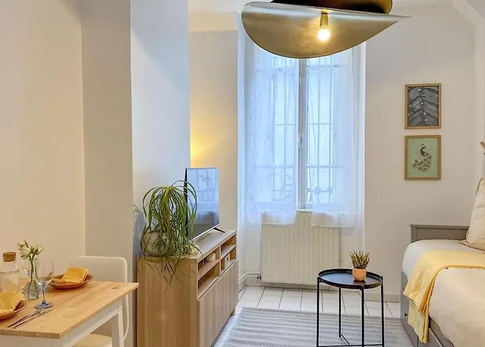 Studio Cosy A Deux Pas Du Canal