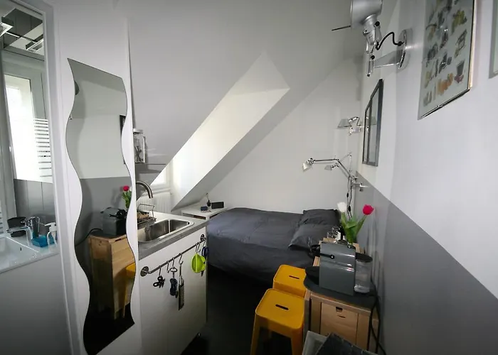 Le Petit Studio A Opera