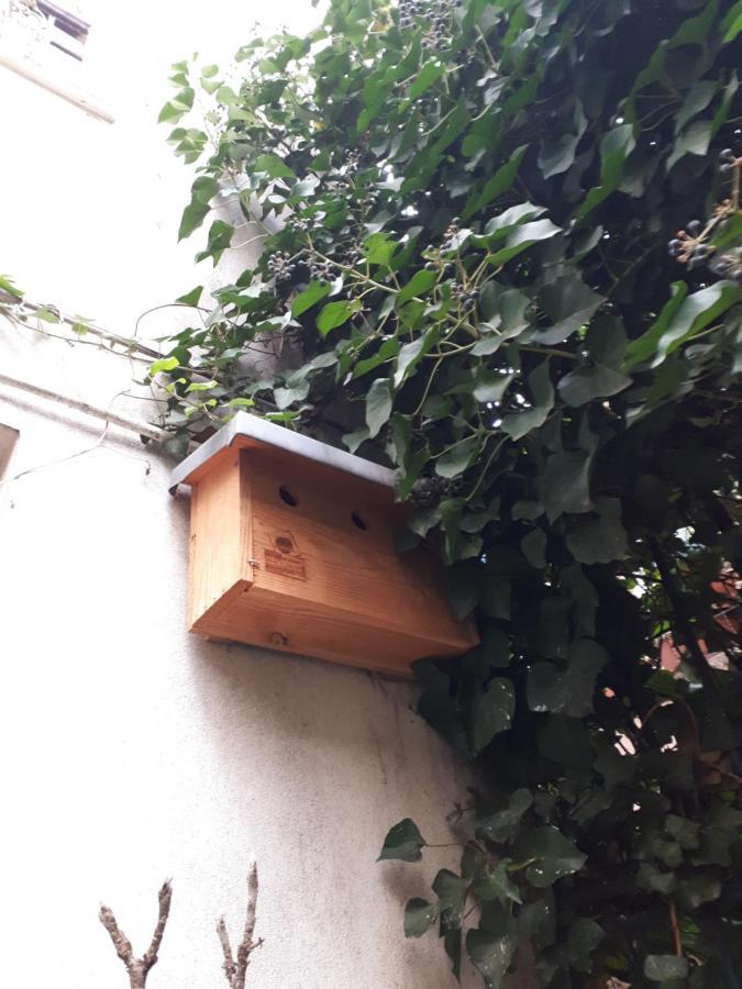 Le Nichoir Aux Oiseaux Avec Parking