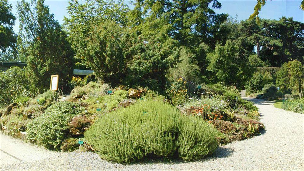 Hotel Du Jardin Des Plantes Paris