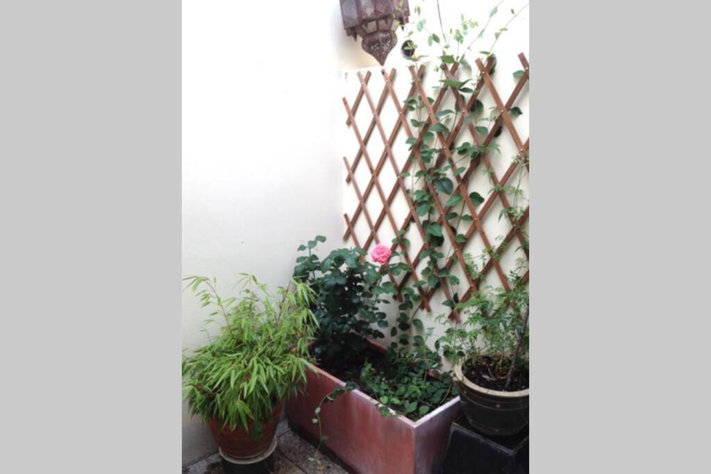 Tour Eiffel Montmartre House Apartment Paris