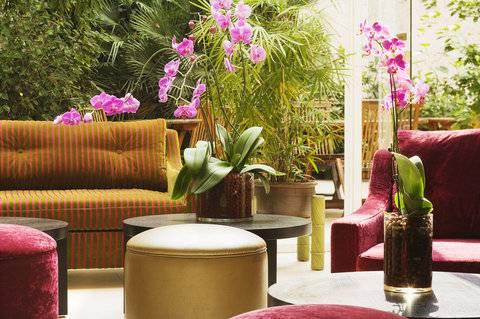 Orchidée Paris