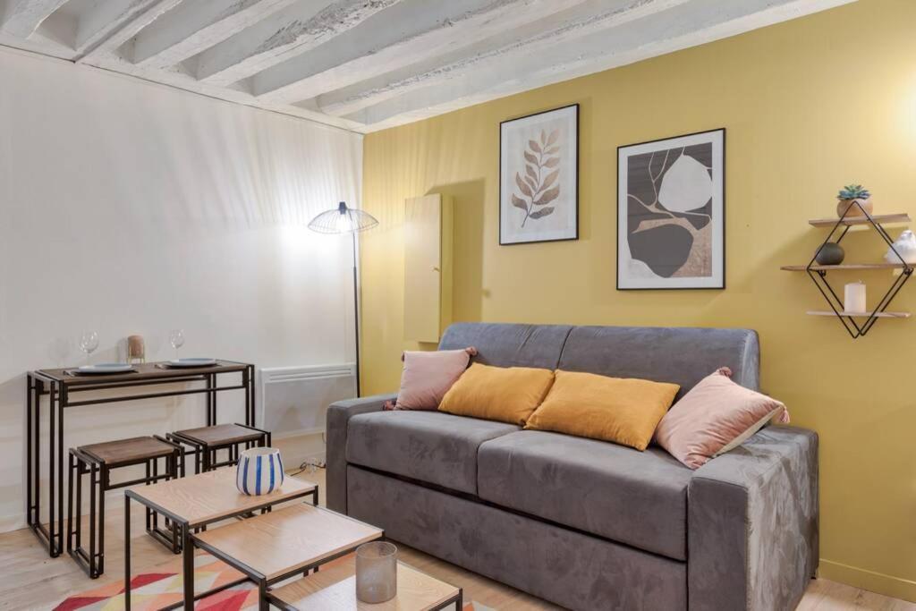 Biche Charming Studio Place De La Republique - 4P Apartment