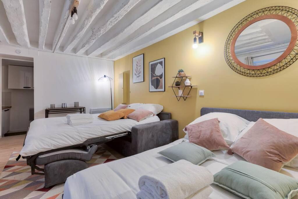 Biche Charming Studio Place De La Republique - 4P Apartment *