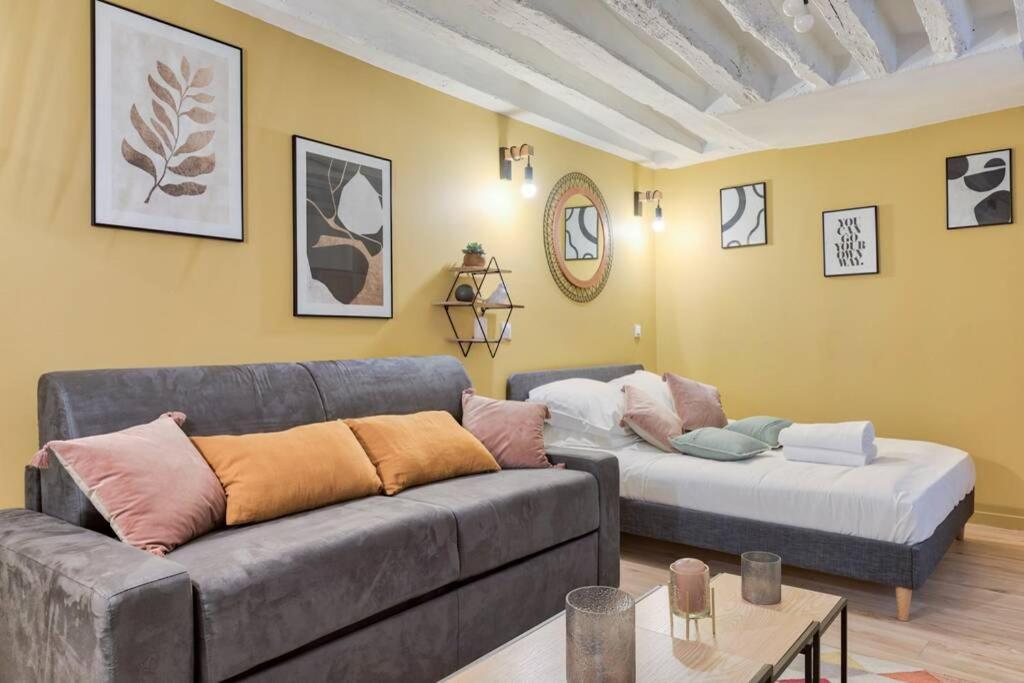 Biche Charming Studio Place De La Republique - 4P Apartment