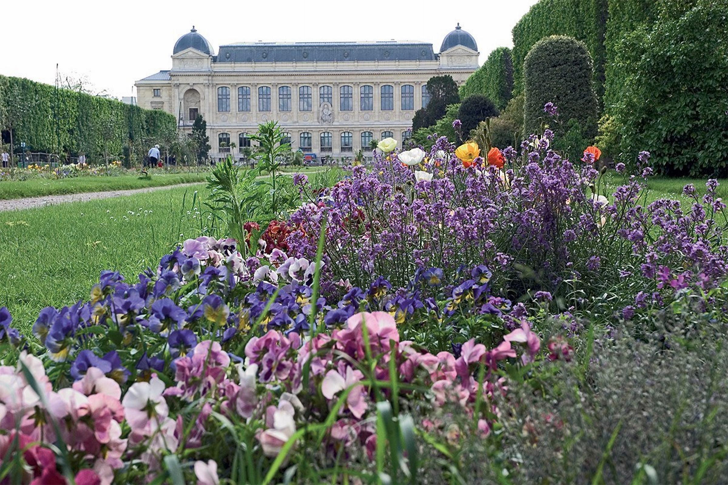 Libertel Austerlitz Jardin Des Plantes Hotel Paris