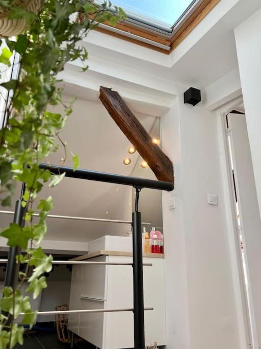 Perle Rare - Cosy Duplex Proche Canal St.martin Apartment Paris