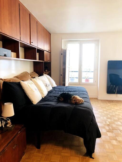 Habitation Salome Paris