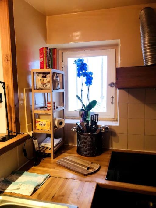 Apartment Habitation Salome *