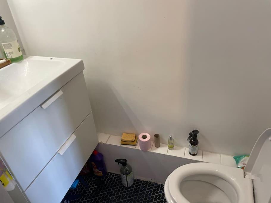 Apartment Close To Pantheon +luxembourg Garden