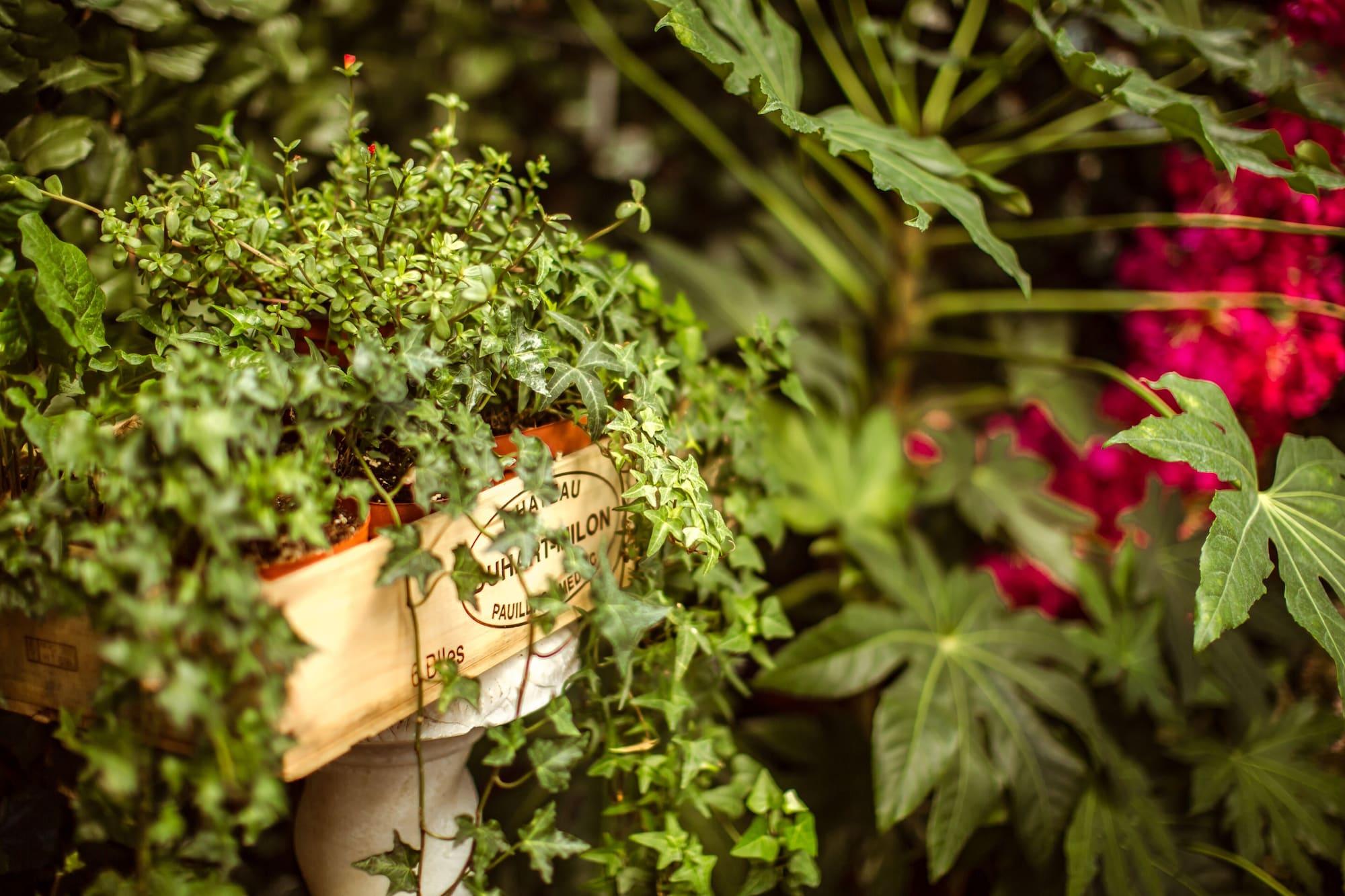 Bed & Breakfast La Maison Gobert Particulier Paris
