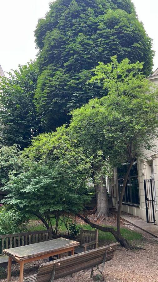 Spacieux Au Coeur Du 9 Eme Arrondissement Apartment Paris