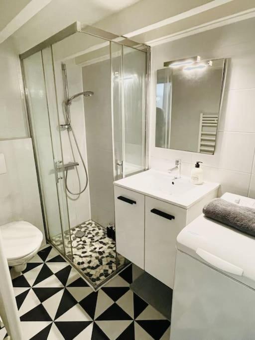 Appartement Le Ptit Parisien - Champs Elysees - Metro & Wifi *