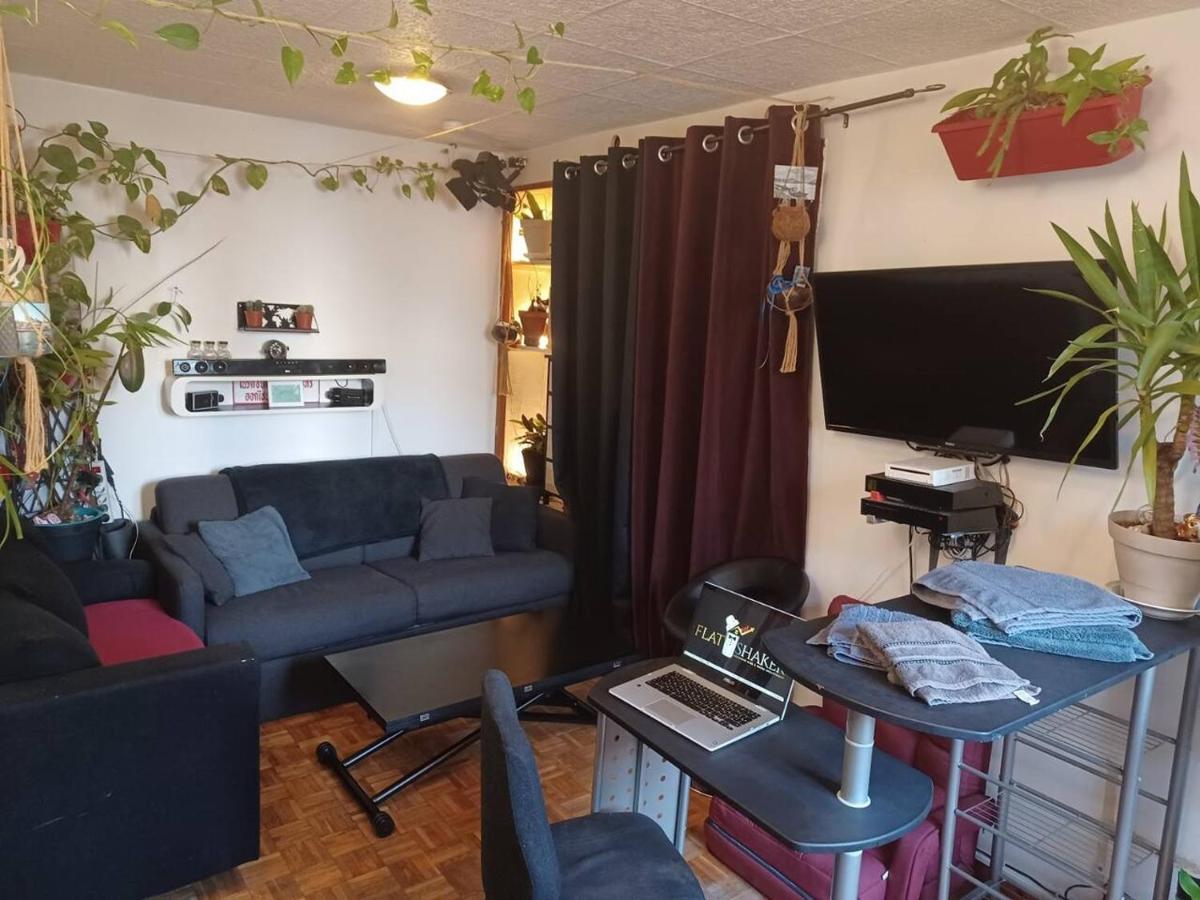 Ma Terrasse A Belleville Appartement *